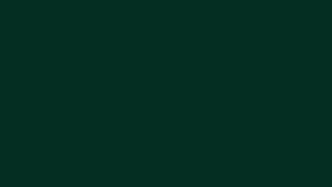 #TH197 / Long Top Dupatta Set / Pleated / Elbow sleeves / All Over Handwork03 / Bottle Green