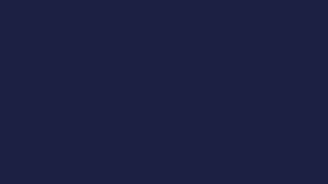 #TH213 / Alankaara / Long Gown Dupatta / Handwork02 / Navy Blue