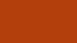 #TH213 / Alankaara / Long Gown Dupatta / Handwork02 / Rust Orange