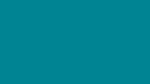 #TH196 / Handwork on Net Fabric / Jewel neck / Party wear concept / Rama Blue