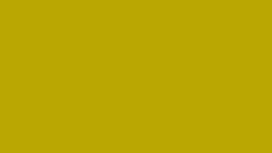 #TH201 Long Top Dupatta Set / yellow Green
