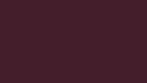 #TH200 / Long Top Dupatta Set / Pleated / Elbow sleeves / Coffee Brown