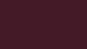 #TH163 / Vichitra / Square Handwork / Pleated / Dark Wine