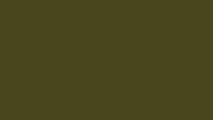 #TH186 / Shimmer Kaftan / Sequence Handwork / Olive Green