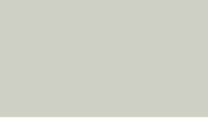 #TH153 / Vichitra Silk / V shaped Handwork / Sleeves / Ivory