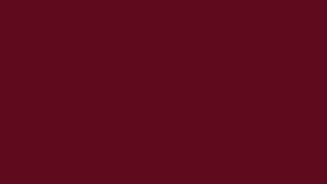#TH204 / Georgette / Long Top Dupatta Set / Full Length / Full sleeves / Reddish Maroon