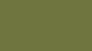 TH110 / HEAVY MIRROR WORK / ALIA CUT / PASTEL GREEN