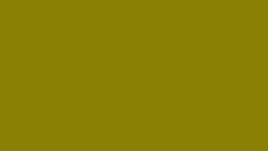 #TH202 / Vichitra Silk / Long Top Dupatta Set / Full Length / Full sleeves / Handwork 07 / Yellow Green