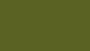#TH202 / Vichitra Silk / Long Top Dupatta Set / Full Length / Full sleeves / Handwork 07 / Olive Green