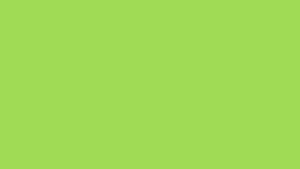 #TH215 / Pleated Kurti / Poppins Edition / Parrot Green