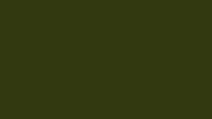 #TH182 / V-Neck / Floral Chest Handwork / Pleated / Mehndi Green
