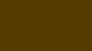 #TH179 / Premium Modal Rayon Kurti / Mirror work / Mehndi Green