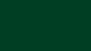 #TH174 / Pattu Pavada-Blouse / Dark Green