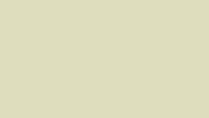 #TH156 / Vichitra Silk / Alia-cut / Heavy Mirror work / Ivory