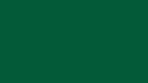 #TH220 / Panel Cut Kurti-Pant Set / Golden buta slub cotton / Green