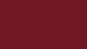 #TH219 /Georgette/Long Top Dupatta Set/Full Length/Full sleeves / Reddish Maroon