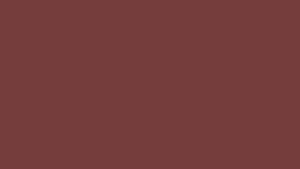 #TH219 /Georgette/Long Top Dupatta Set/Full Length/Full sleeves / Light Coffee