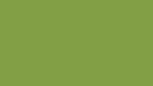 #TH105 / Rayon / Shibori printed / Alia Cut / Green