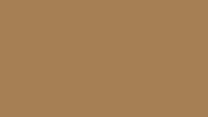 #TH225 / Georgette / Long Top Dupatta Set / Full Length / Full sleeves / Light Brown